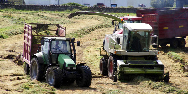 family business farm