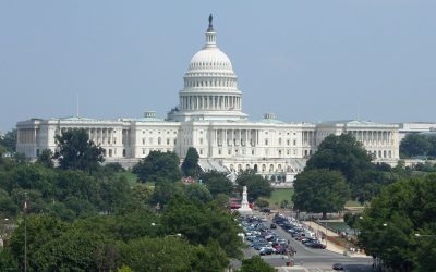 Content Tax & Financial Services Week Ahead