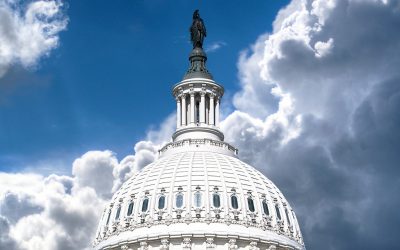 Content Taxation & Representation and Tax Tidbit