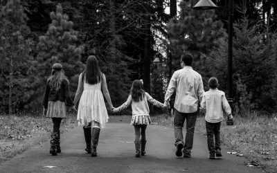 From Generation to Generation