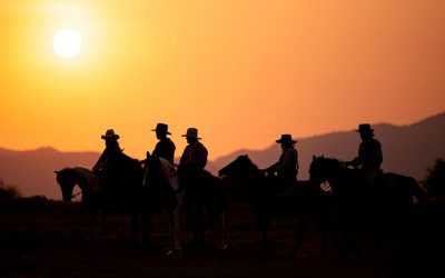 Content Johnston Ranch: Personal Experiences Show Impact Of Estate Tax
