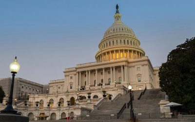 Content Why Congress is Choking Family Businesses
