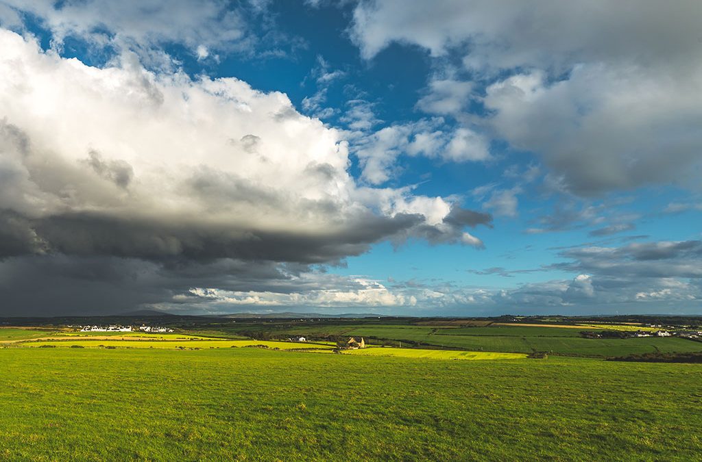 Truboy Ranch: Personal Experiences Show Impact Of Estate Tax