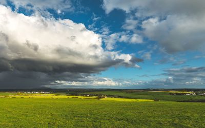 Content Truboy Ranch: Personal Experiences Show Impact Of Estate Tax