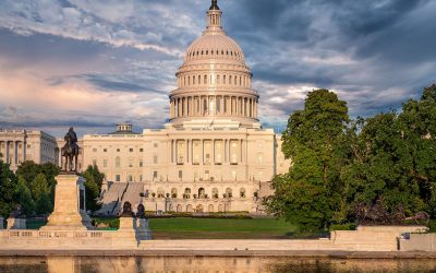 Content Build Back Better Outlook. Taxation & Representation.