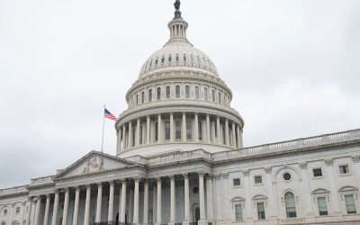 House Passes Inflation Reduction Act