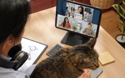 [Last chance] Register For Our August 18th Webinar