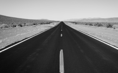 Content Looking Ahead: State Policy Trends for 2023