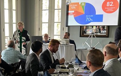 Navigating Tax Challenges for Family Businesses: Insights with Pat Soldano