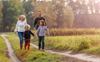 Content Three Steps to Survive a Generational Transition of the Family Business