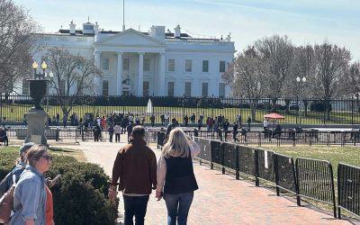 Content US Economic Outlook July 2025