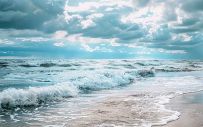 Content Preserving Legacy Beyond the Operating Business: Evolving from Operator to Investor