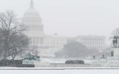 Taxation & Representation: FY2026 Omnibus at Risk: Key Updates Inside