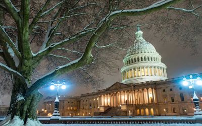 Washington Update: Wealth Tax Momentum Builds in States