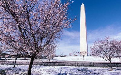 Content Taxation & Representation: Reconciliation 2.0. Thune’s Next Big Move Revealed