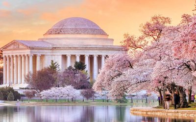 Content Taxation & Representation: Wealth taxes are back. See the 4 bills to watch