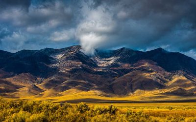 Content The Nevada Advantage: Strategic Trust and Tax Planning for the Modern Family Business