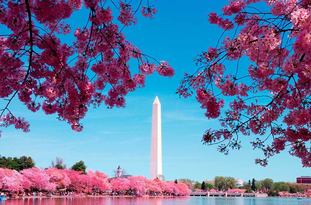 Washington Update: Inside the Latest Tax Moves Coming Out of Congress