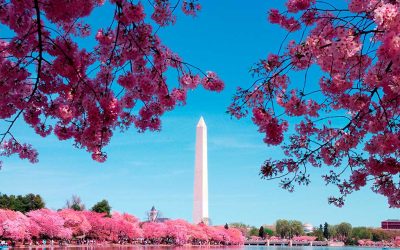 Content Washington Update: Inside the Latest Tax Moves Coming Out of Congress