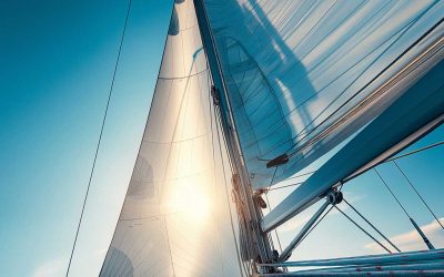 PPLI as a “Family Bank”: Segregating Long-Term Capital From Operating Risk
